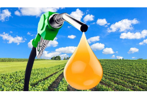 Vetus Diesel Fuel quality grade and biodiesel